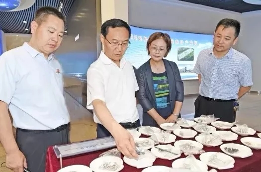 640.webp.jpg 640.webp.jpg