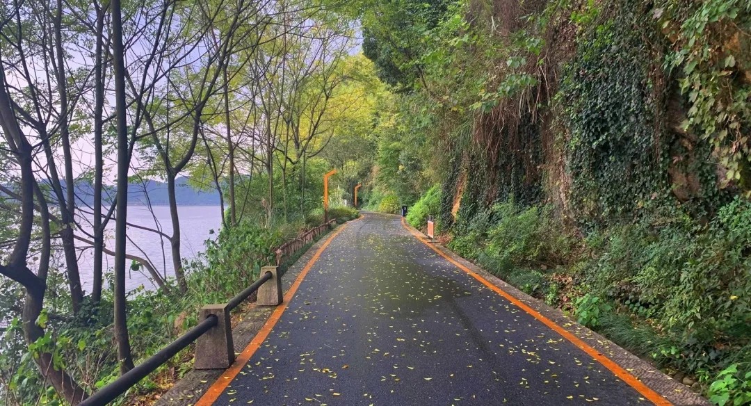 640.webp (4).jpg 640.webp (4).jpg